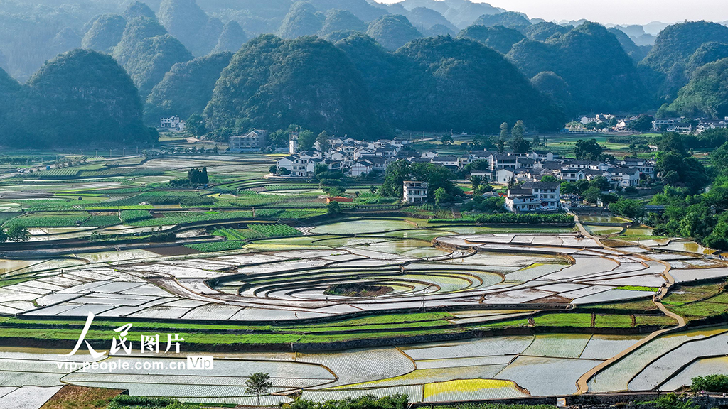 貴州興義：田園畫卷美【4】
