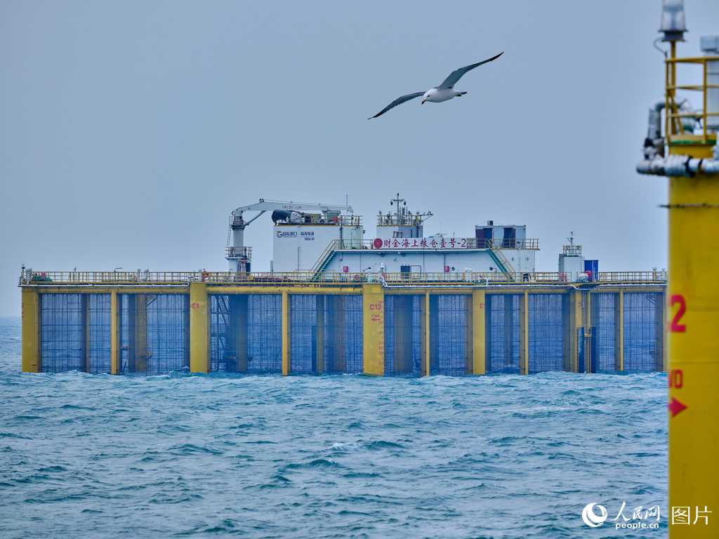 山东日照:构建三文鱼全产业链【2】