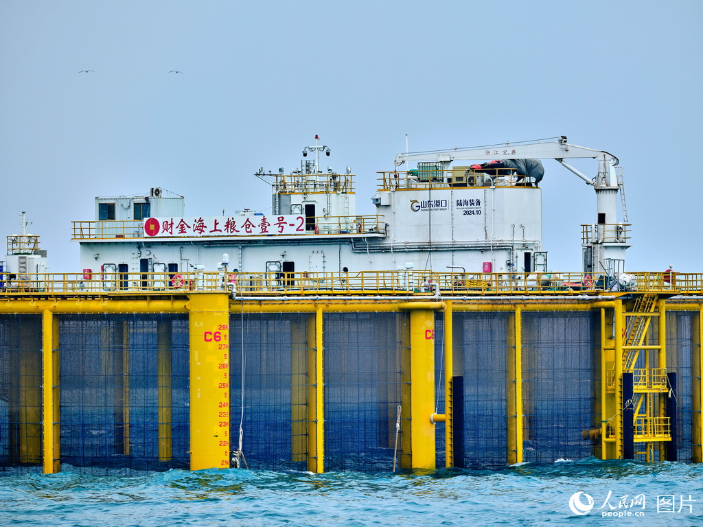 山东日照:构建三文鱼全产业链【3】