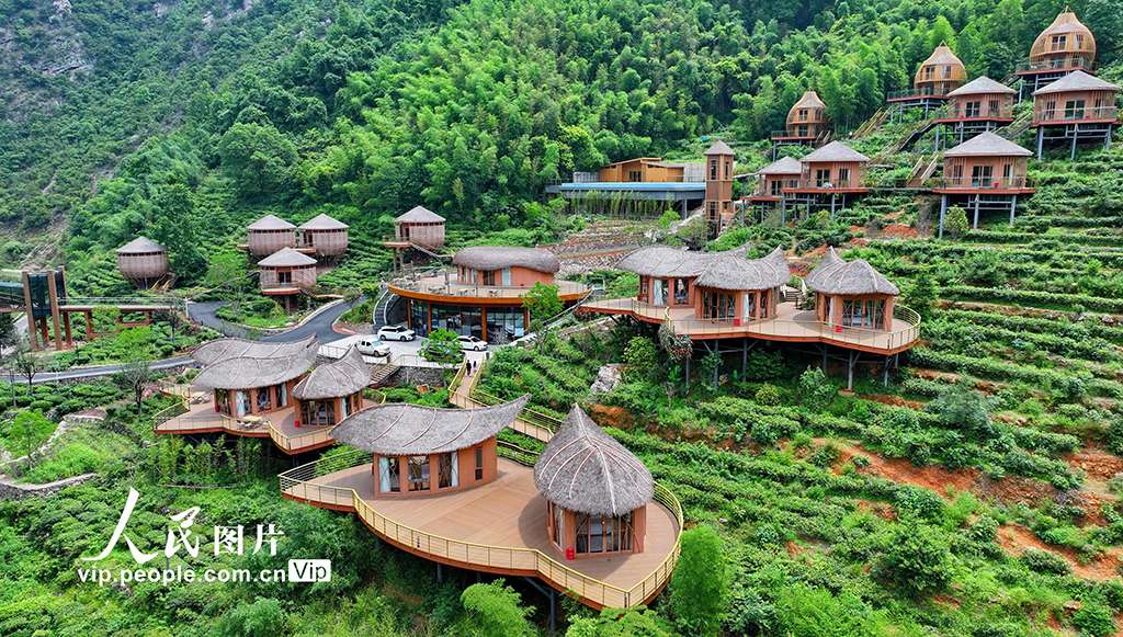 江西上犹：发展露营经济 助力乡村振兴【7】