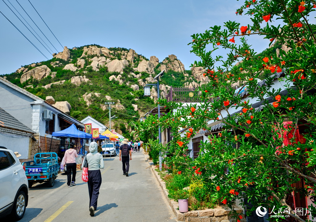 山東五蓮:駐村幫扶助力鄉村振興【2】