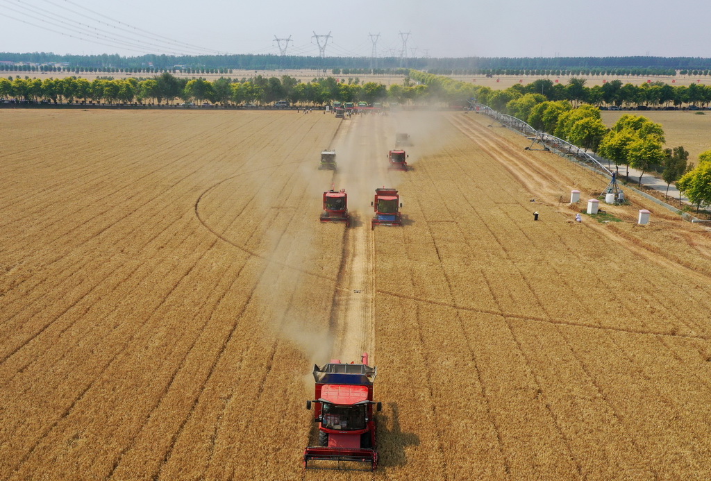 這是5月28日在河南省周口市商水縣張庄鎮張坡村拍攝的活動現場(無人機照片)。