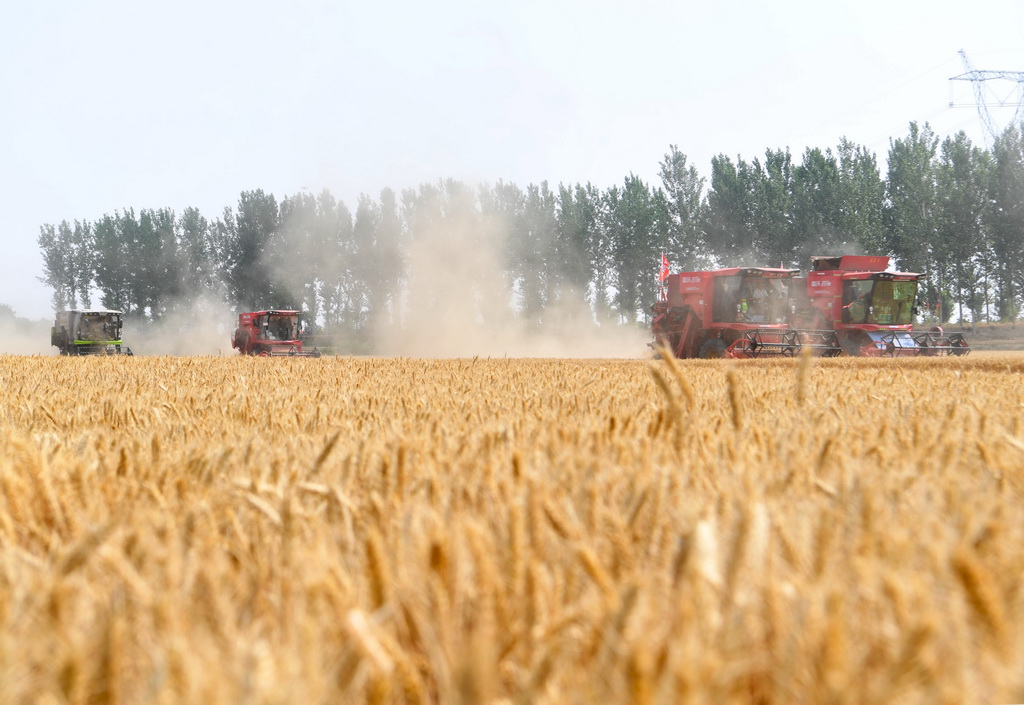 5月28日,在活動現場,農機手駕駛收割機收割小麥。
