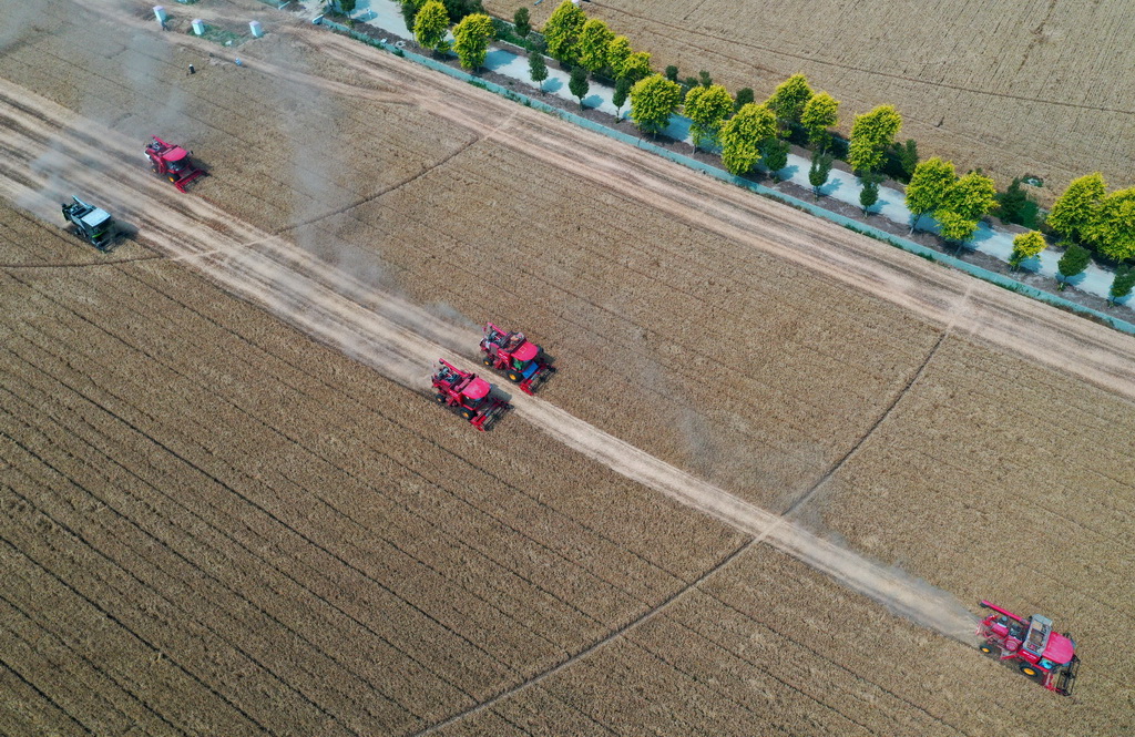 這是5月28日在河南省周口市商水縣張庄鎮張坡村拍攝的活動現場(無人機照片)。