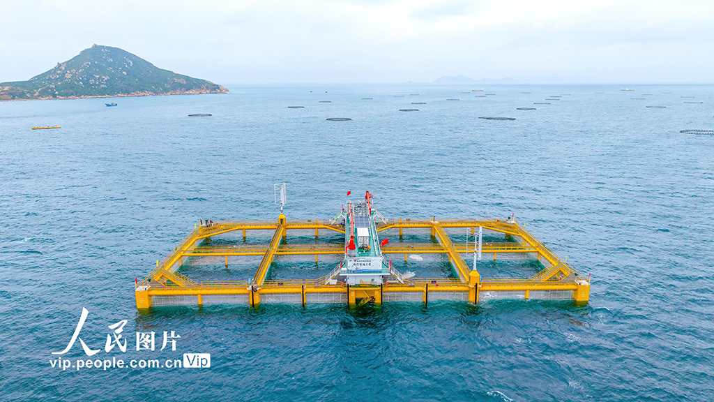 广东珠海:现代化海洋牧场“标准海”样板区投产【2】