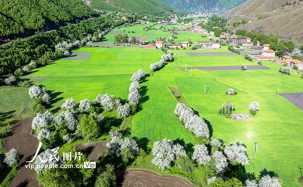 四川康定：昌木村景美如畫【3】