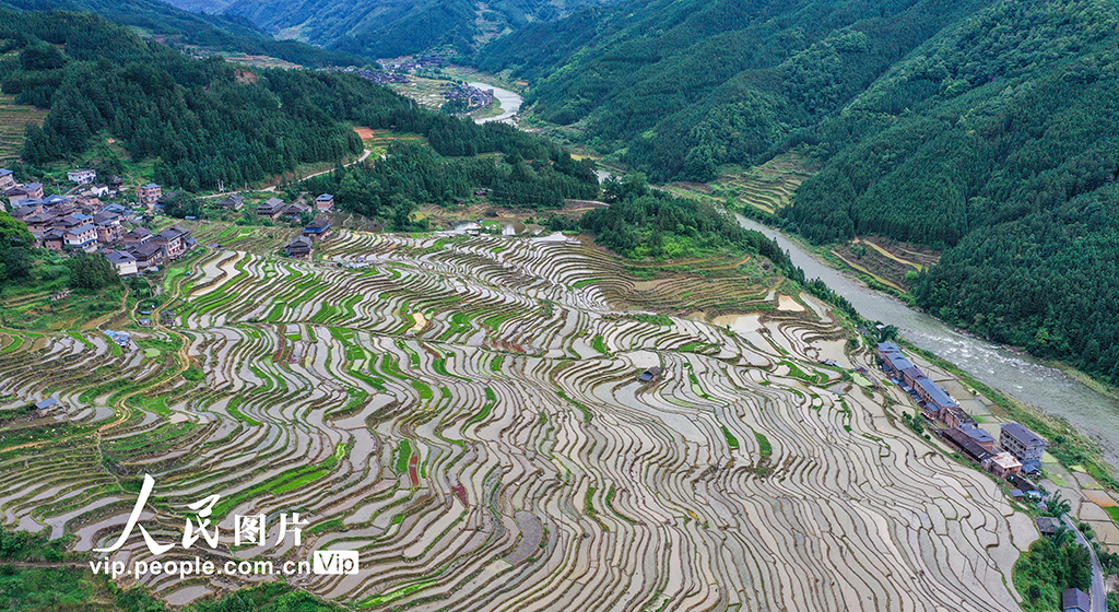 貴州從江：夏日鄉村田園美【3】