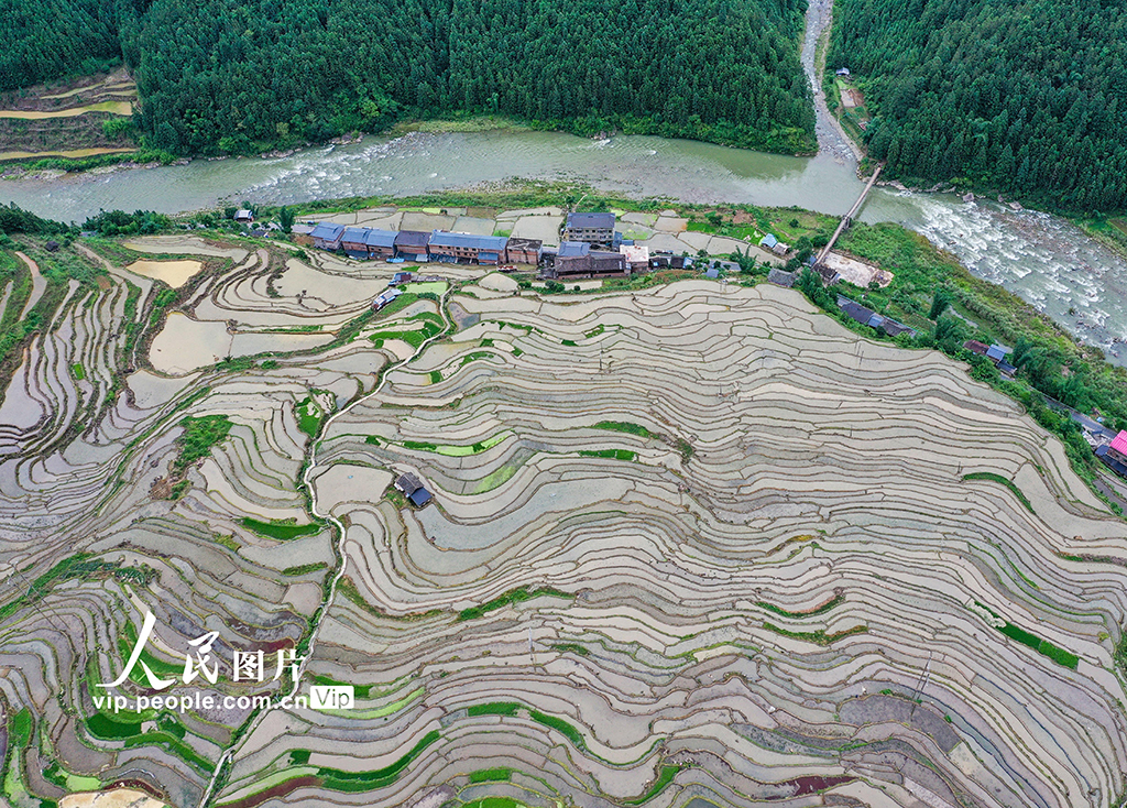 貴州從江：夏日鄉村田園美【5】