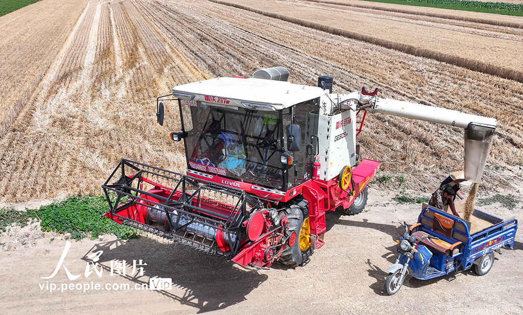 山西夏县小麦大面积收割【4】