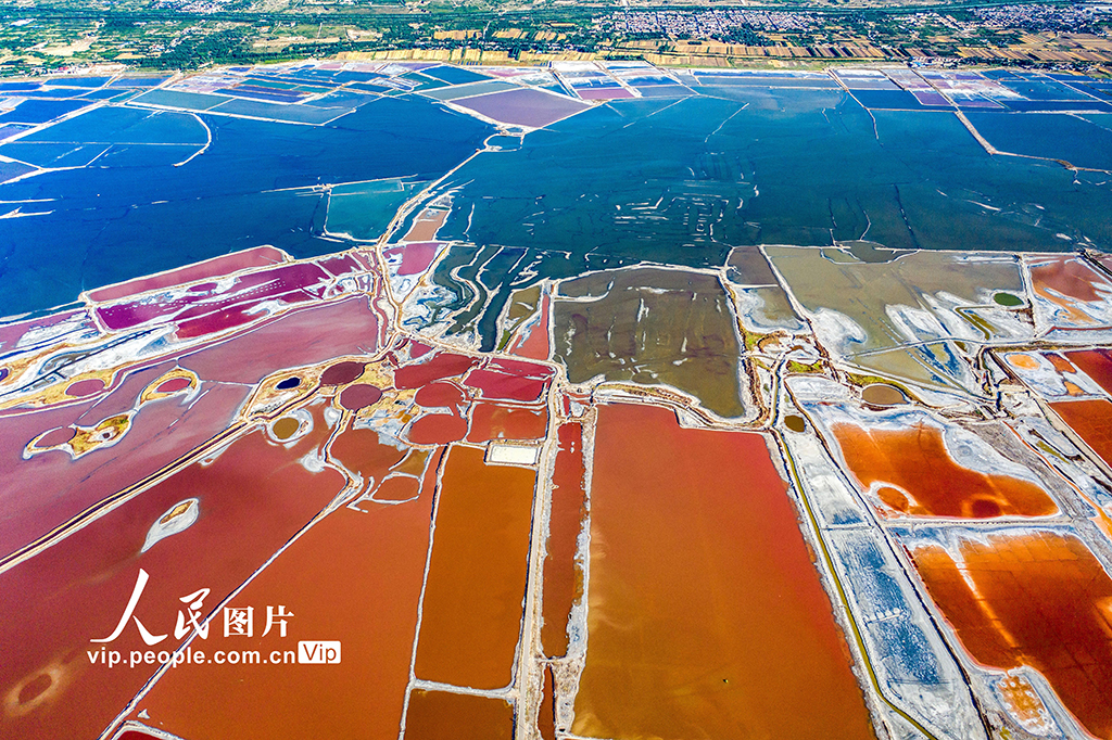 山西运城：夏季盐湖色斑斓【6】