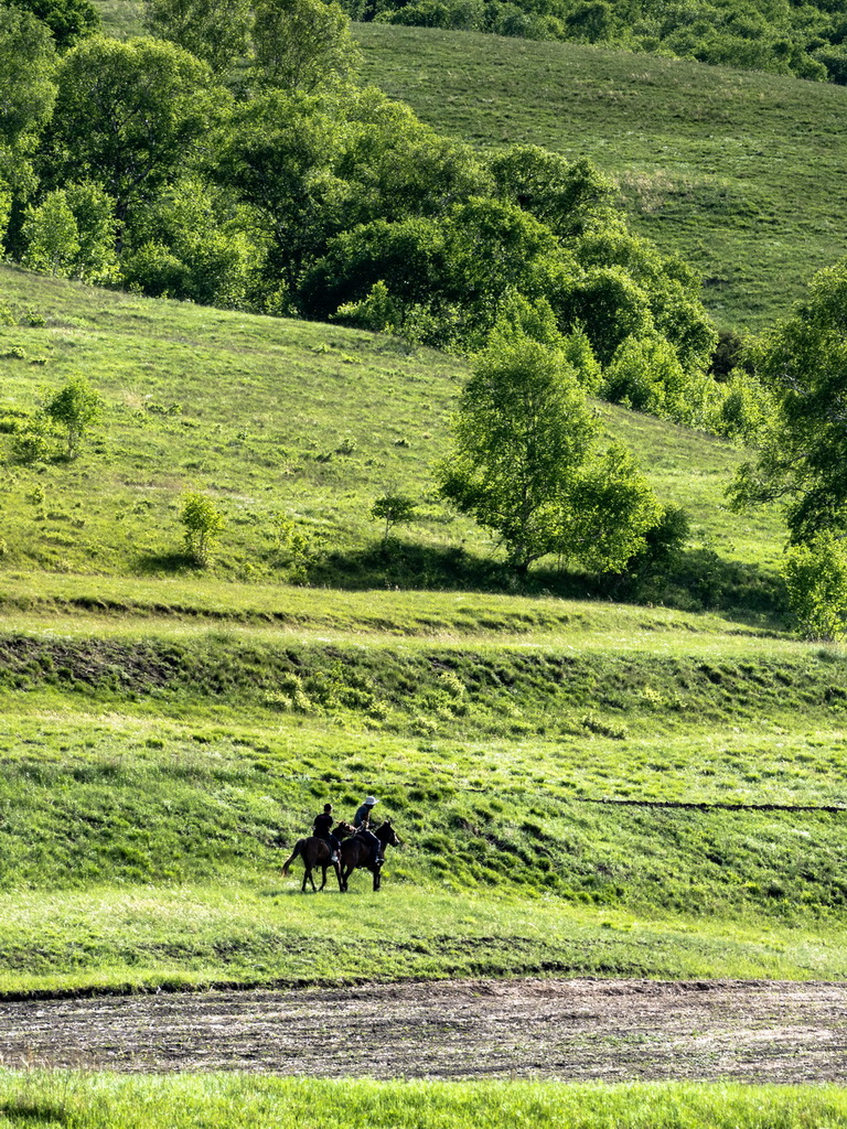 6月5日，游客在内蒙古大青山国家级自然保护区骑马。