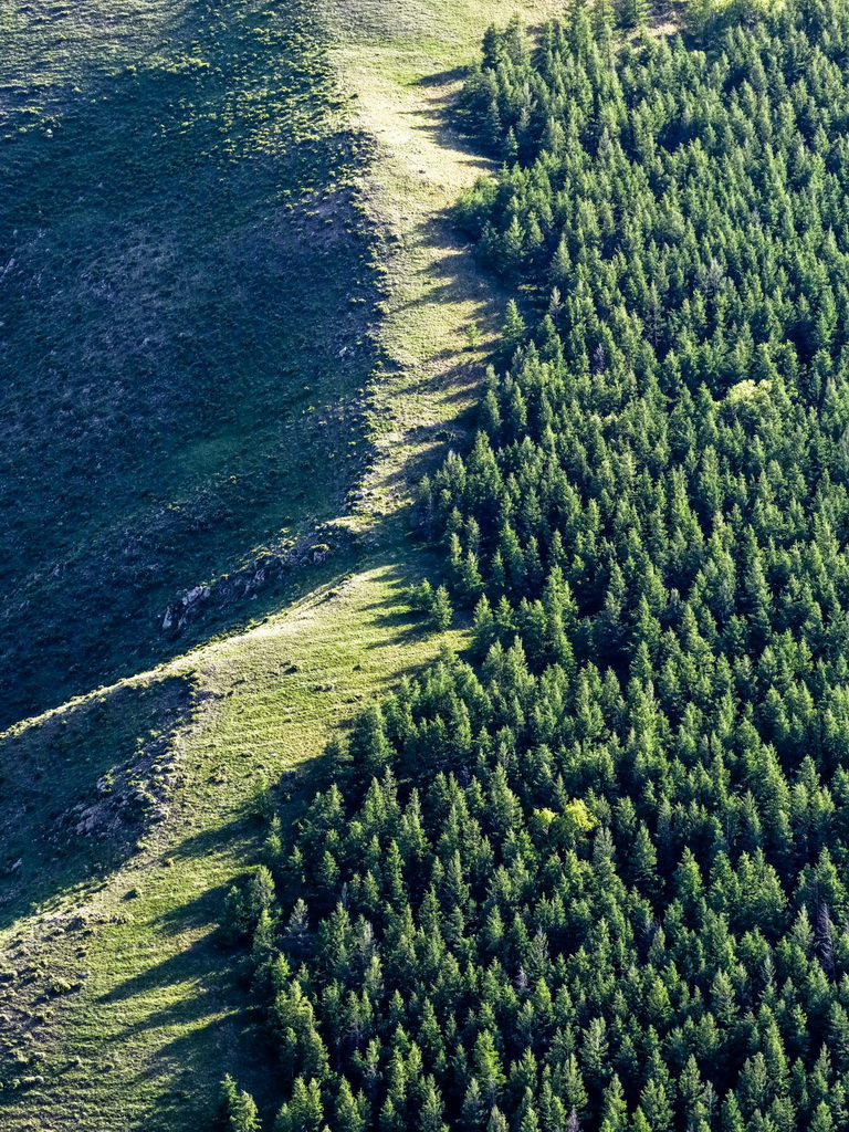 这是6月5日在内蒙古大青山国家级自然保护区拍摄的草原风光（无人机照片）。