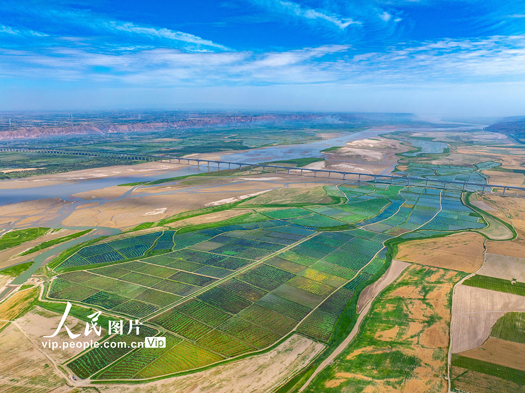 山西永济：生态水产养殖助力乡村振兴【2】