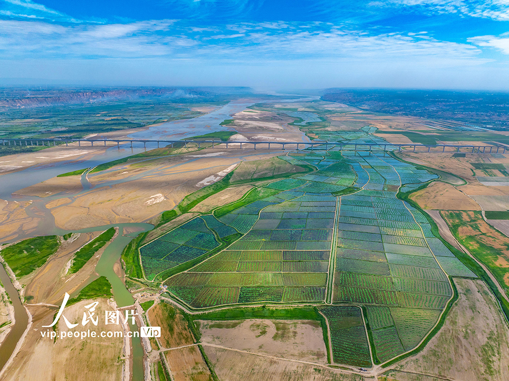 山西永济：生态水产养殖助力乡村振兴【3】