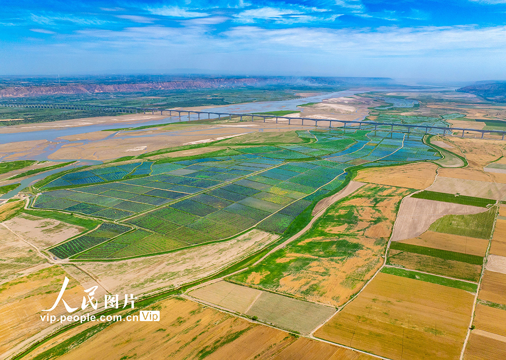 山西永济：生态水产养殖助力乡村振兴【4】