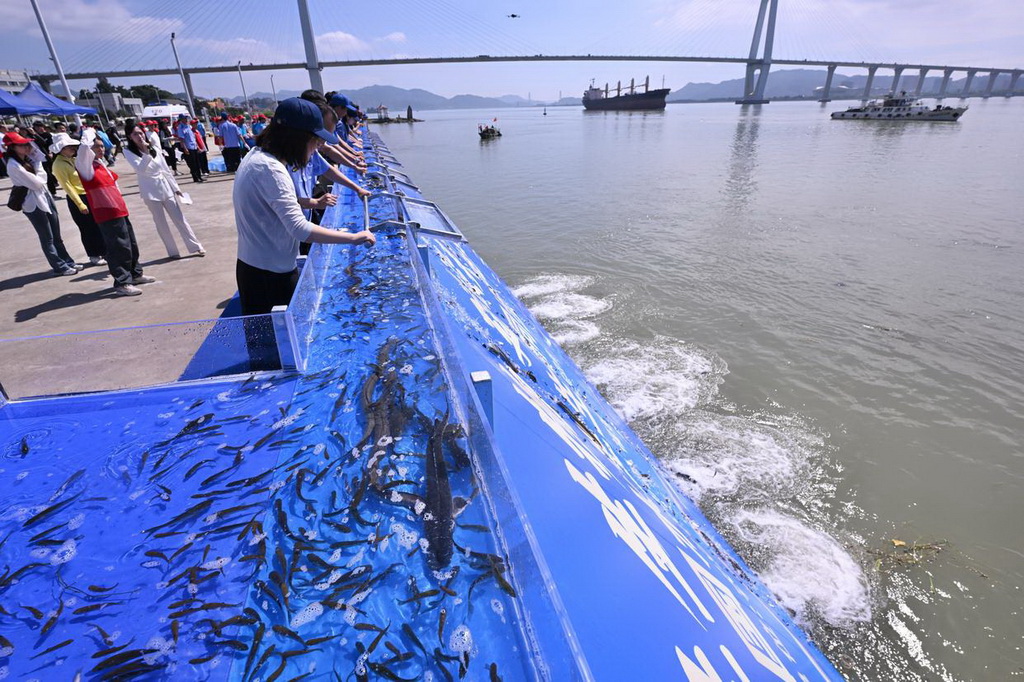 6月6日，在福建省福州市闽江入海口举行的全国水生生物同步增殖放流主会场活动中，嘉宾在投放鱼苗。