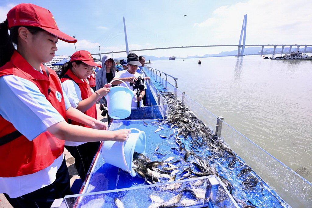 6月6日，在福建省福州市闽江入海口举行的全国水生生物同步增殖放流主会场活动中，志愿者将鱼苗转移至放流槽。