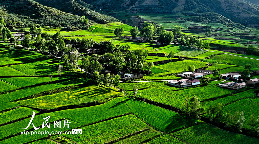 甘肃民乐:祁连山下乡村美【2】