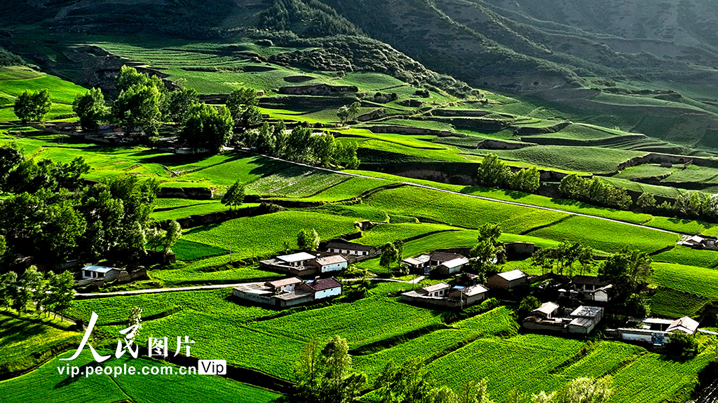 甘肅民樂：祁連山下鄉村美【5】