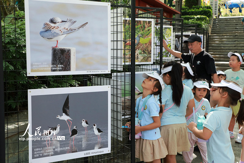 海南三亚:2025年“爱鸟周”宣传活动启动【6】