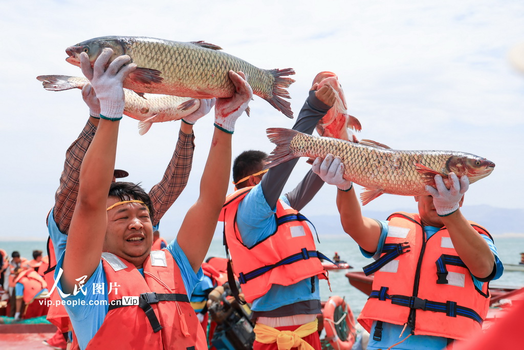 新疆博湖：魚躍人歡【2】