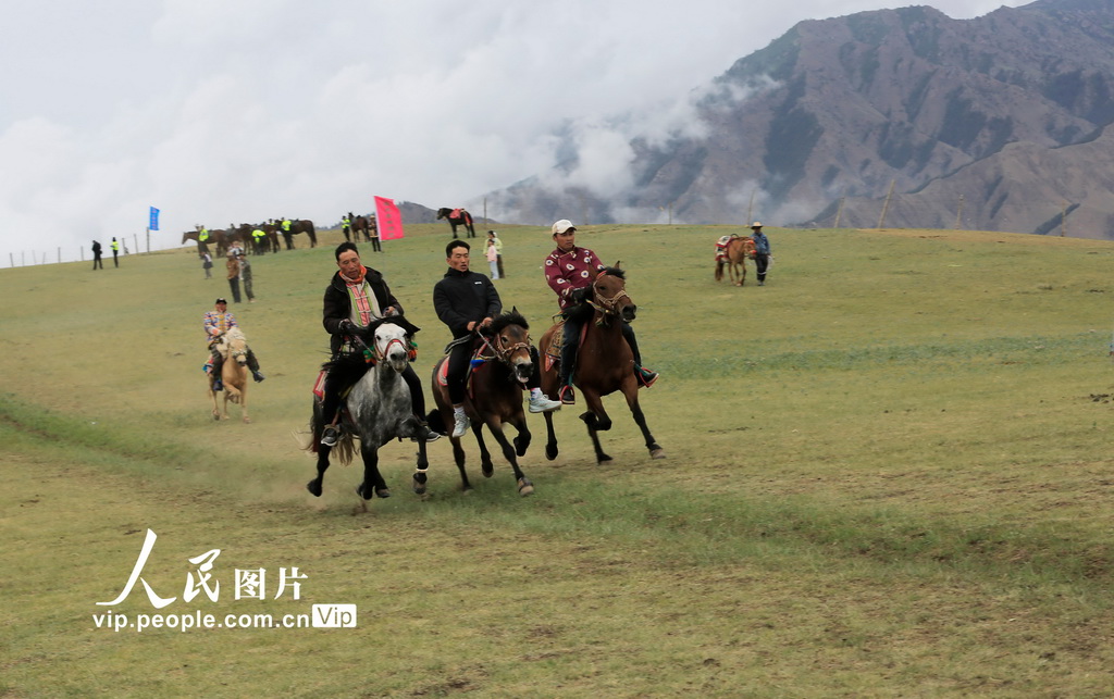甘肃肃南:草原赛马【2】