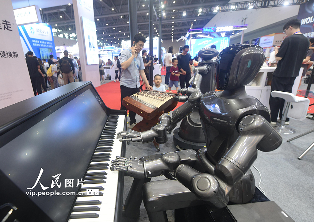 2025杭州国际人形机器人与机器人技术展览会举行【4】