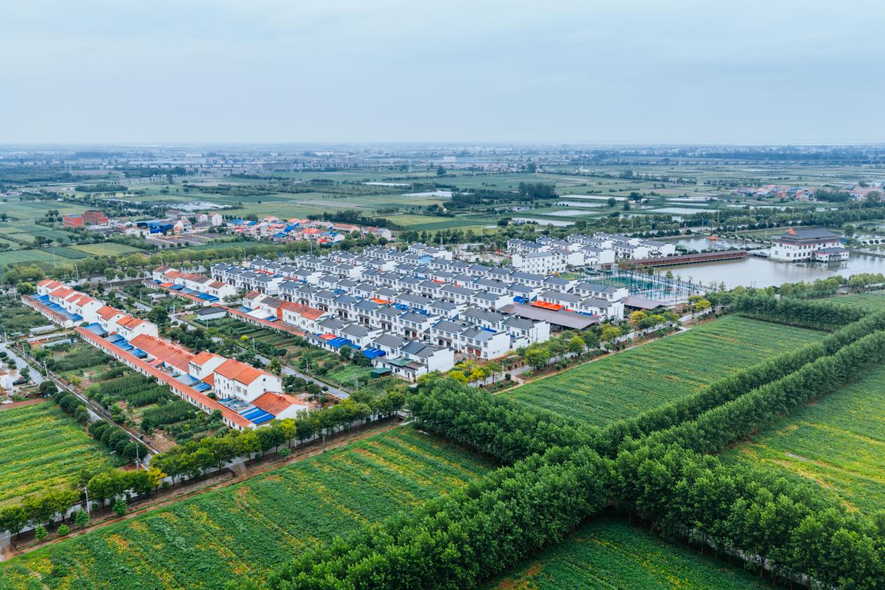 航拍视角下的潘家湾镇四邑村。邱活摄