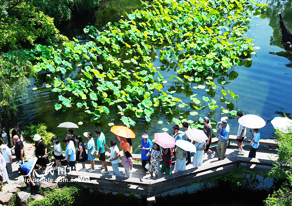 江苏苏州：游园赏荷享清凉【3】