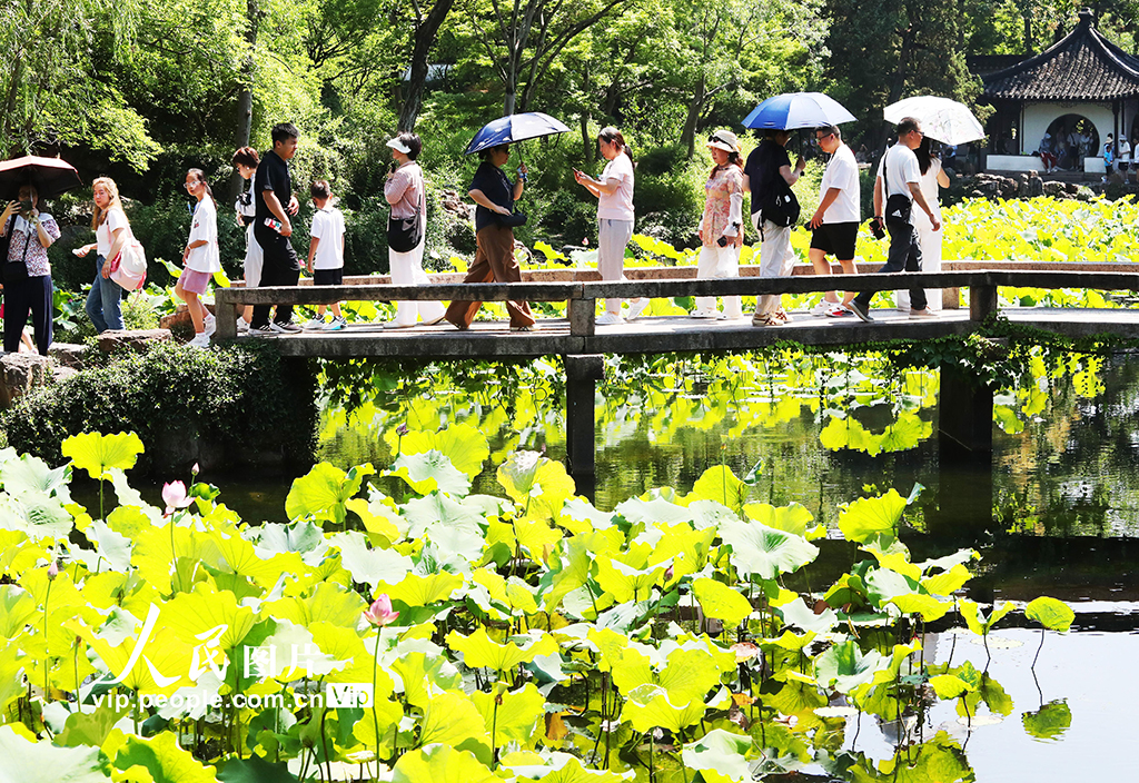 江苏苏州：游园赏荷享清凉【4】