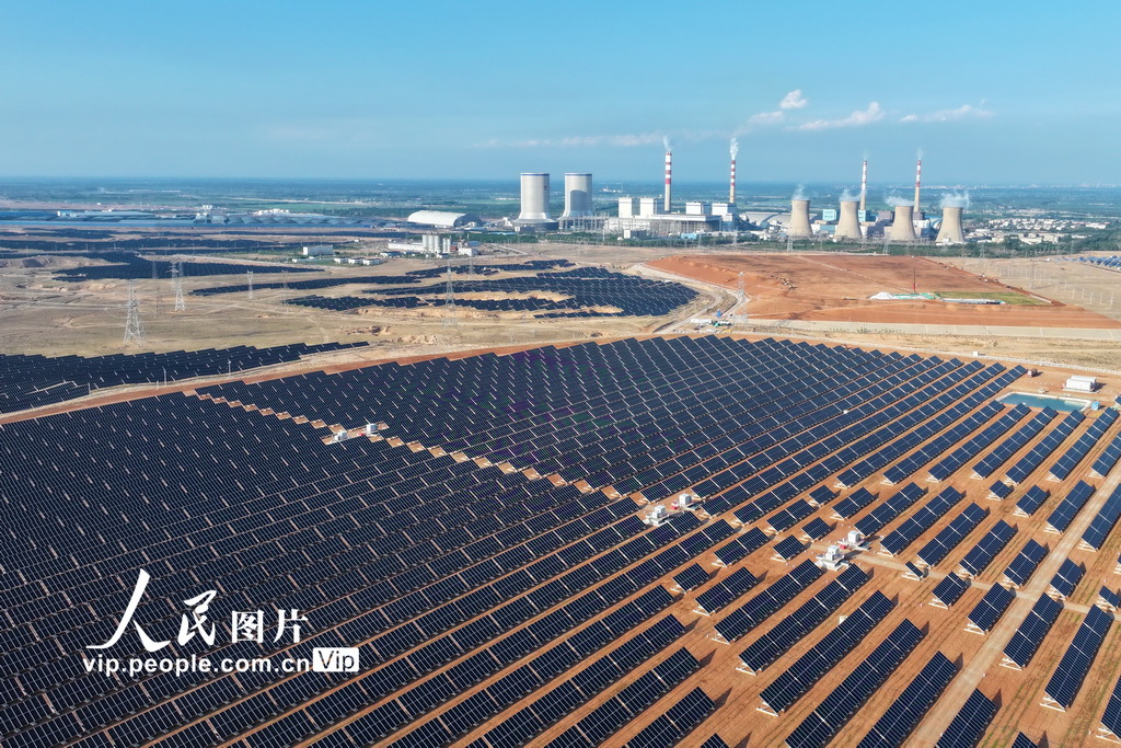 宁夏青铜峡：戈壁滩上好“风景”【3】