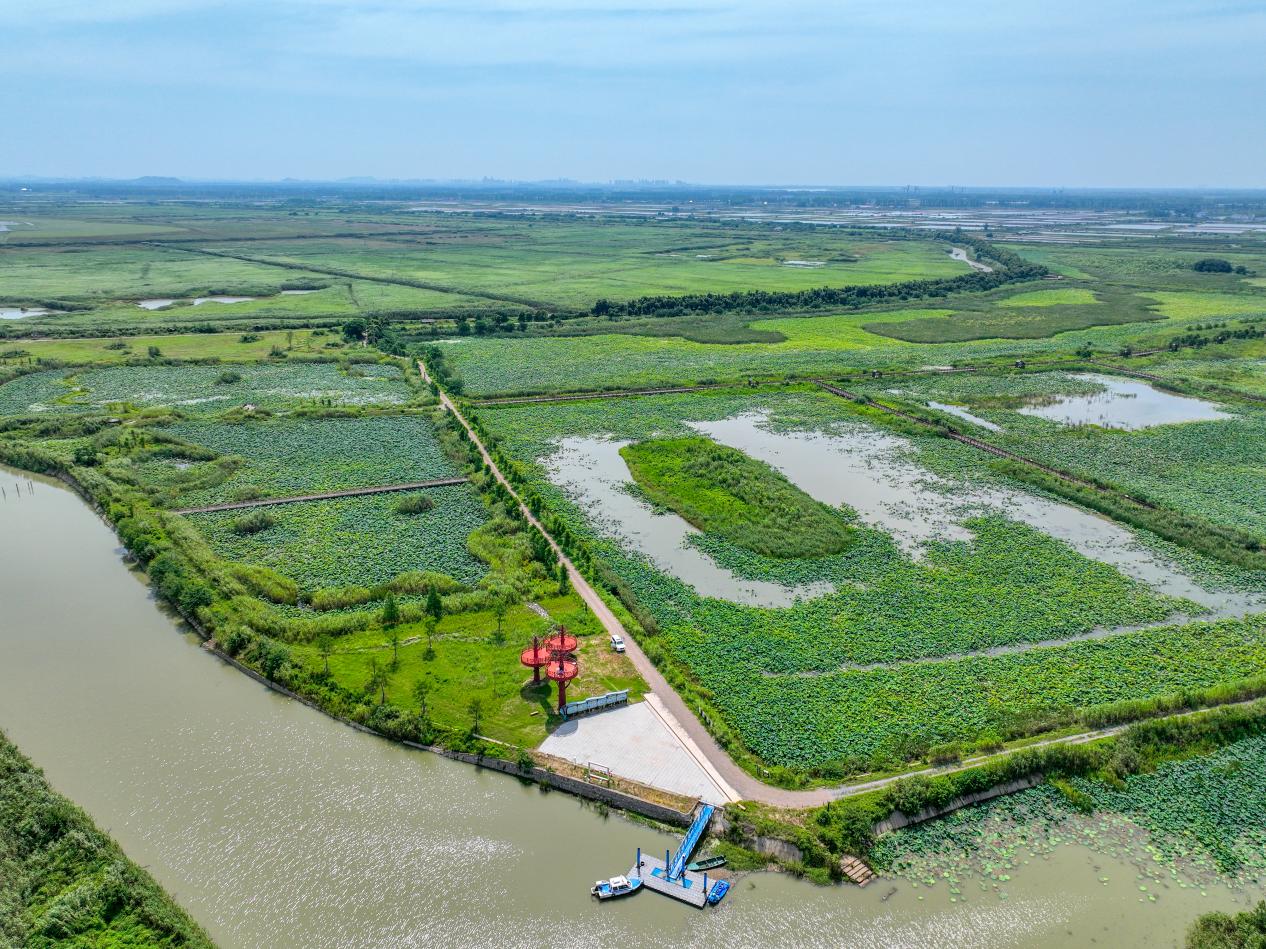 观鸟塔俯瞰。魏斌摄