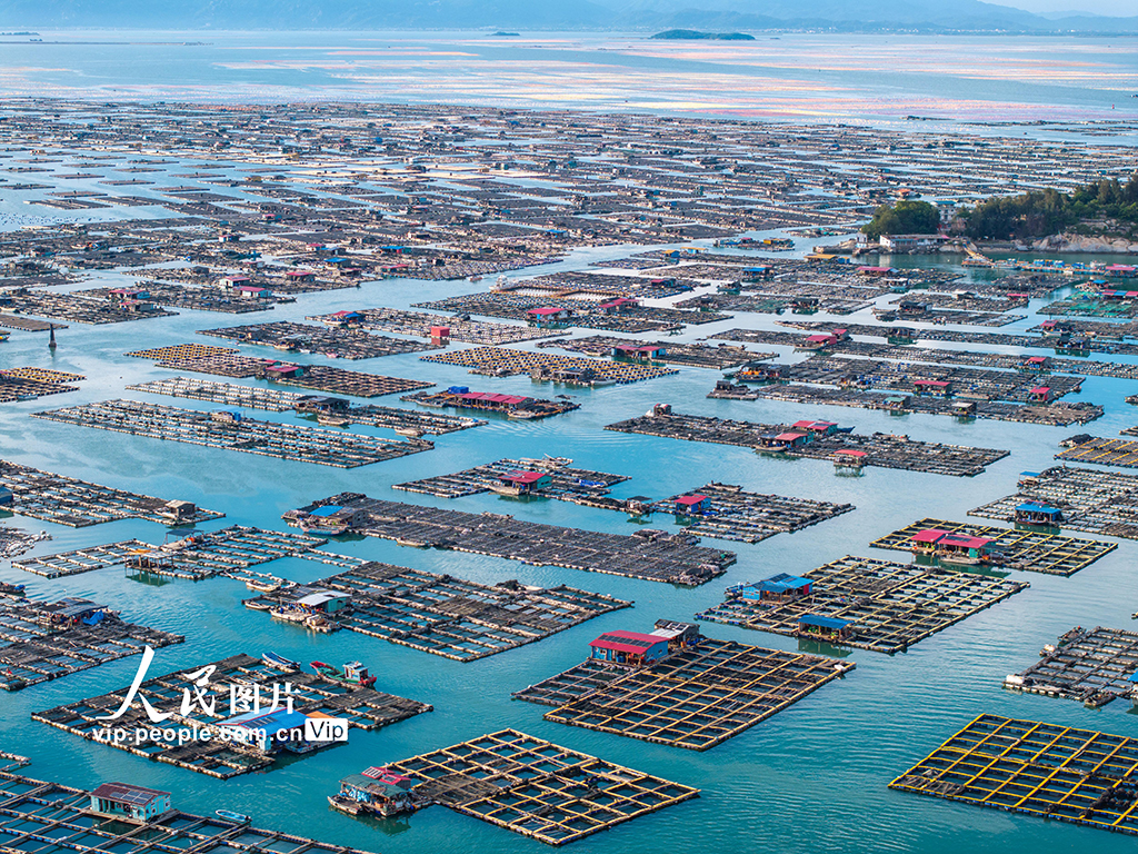 福建東山：海洋牧場【2】