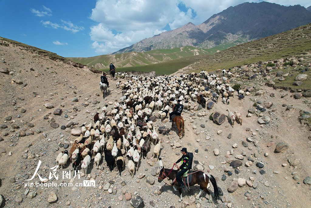 新疆阿克苏：党员服务队护航牧区转场路【3】