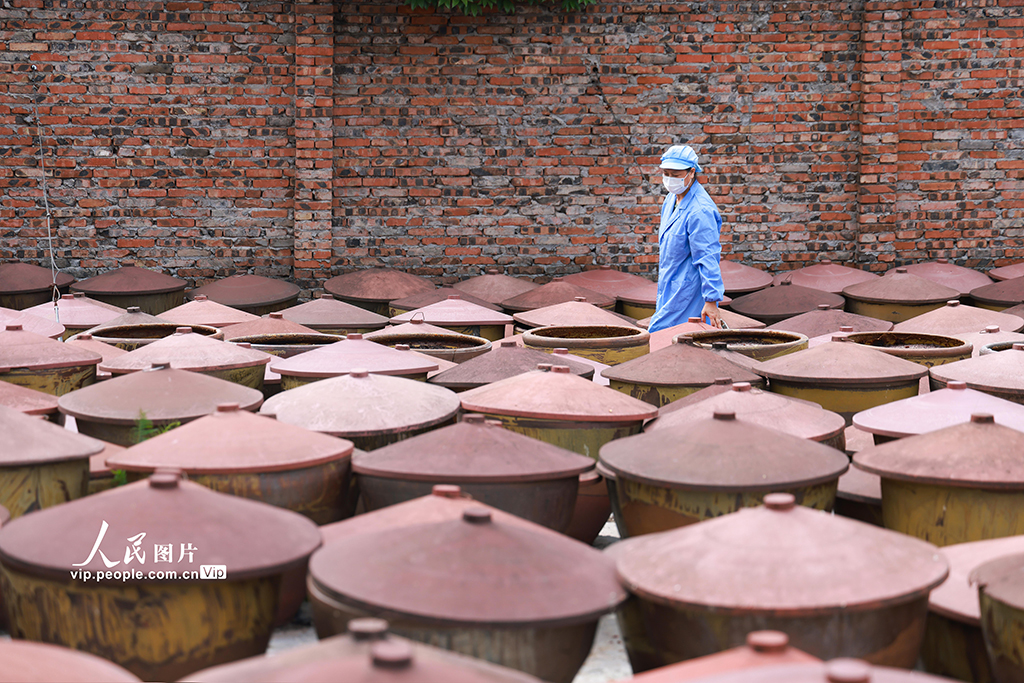 四川遂寧：傳統古法釀豆瓣醬【5】