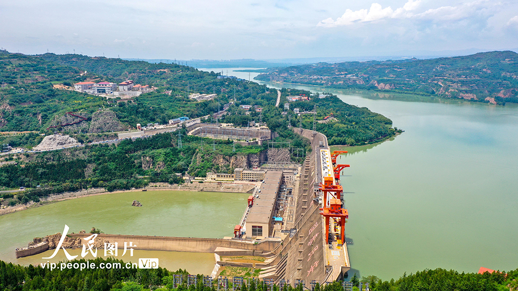 山西运城:黄河岸畔绿意浓【2】
