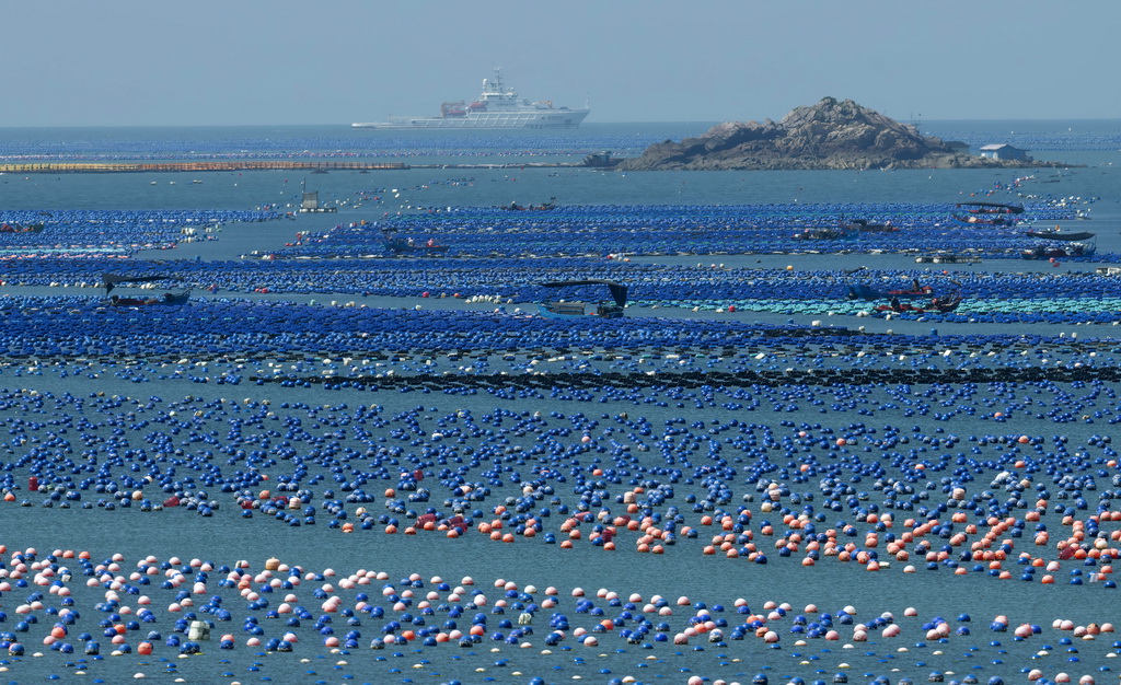 在连江县海域,养殖渔排与排列整齐的浮球交织出一幅多彩的“海上牧场”画卷(7月3日摄)。
