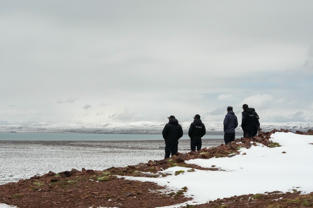 巡山隊員在可可西裡卓乃湖附近巡護(7月3日攝)。