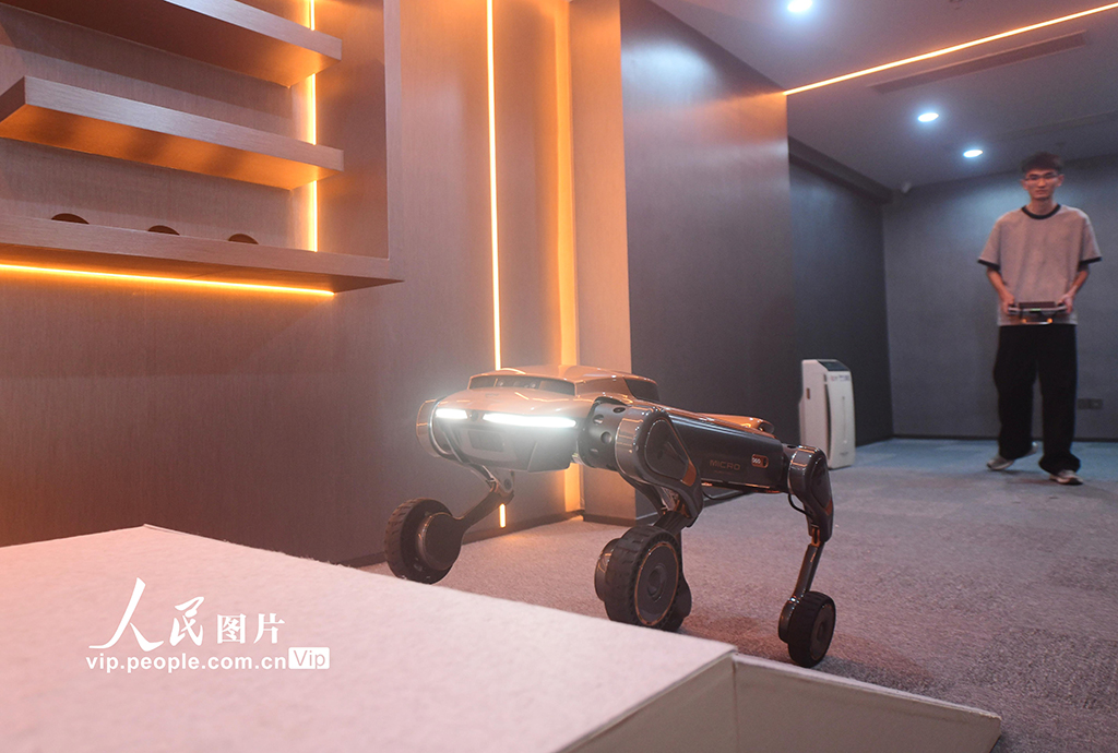 浙江杭州：国内首家“具身智能4S店”亮相【4】