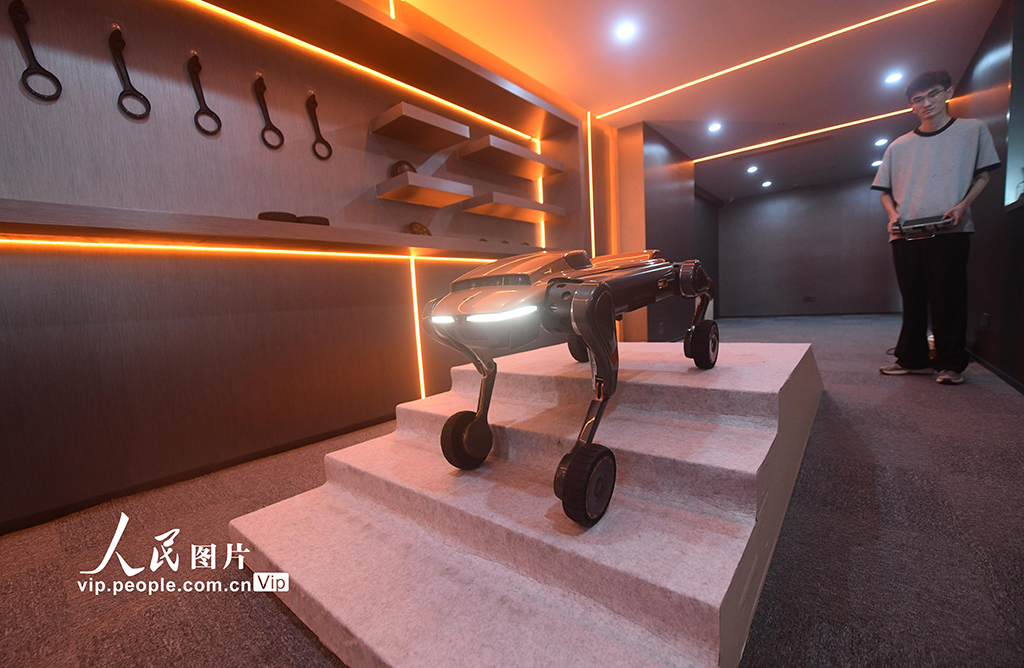 浙江杭州：國內首家“具身智能4S店”亮相【2】