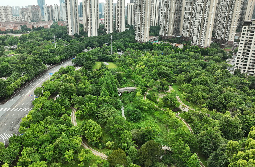 這是位於江西省贛州市章貢區的建春濕地公園（6月18日攝，無人機照片）。