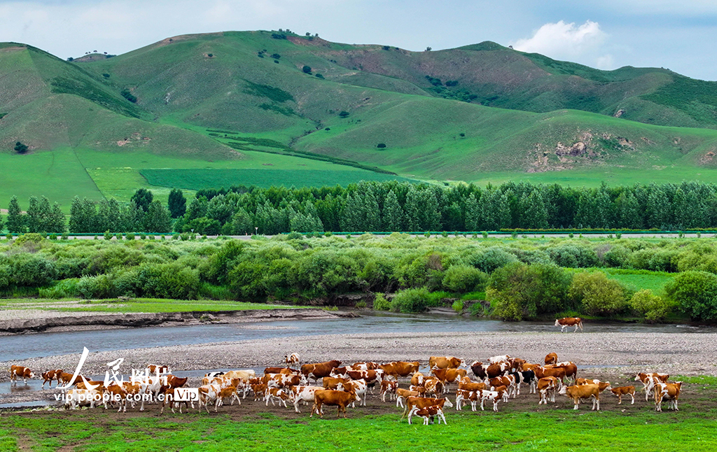 内蒙古兴安盟:乌兰毛都草原风景美【3】