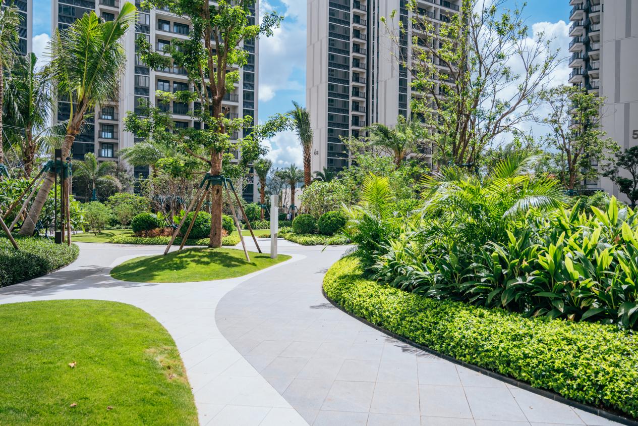 海南三亚保利栖山雨茗安居房社区。邱活摄
