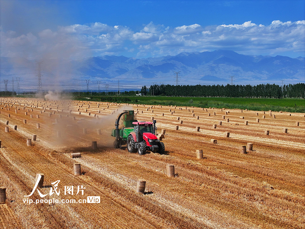 麦秸回收 环保增收【5】