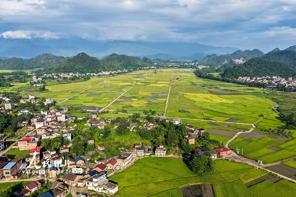 湖南道縣：田園畫卷【6】