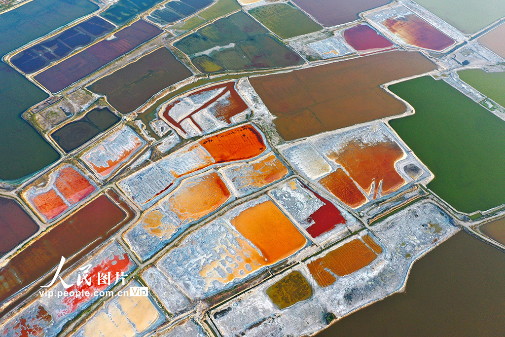 山西運城：夏日鹽湖色彩斑斕【4】