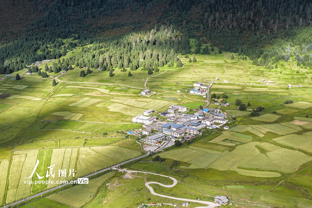 西藏林芝:鲁朗小镇风光美【3】