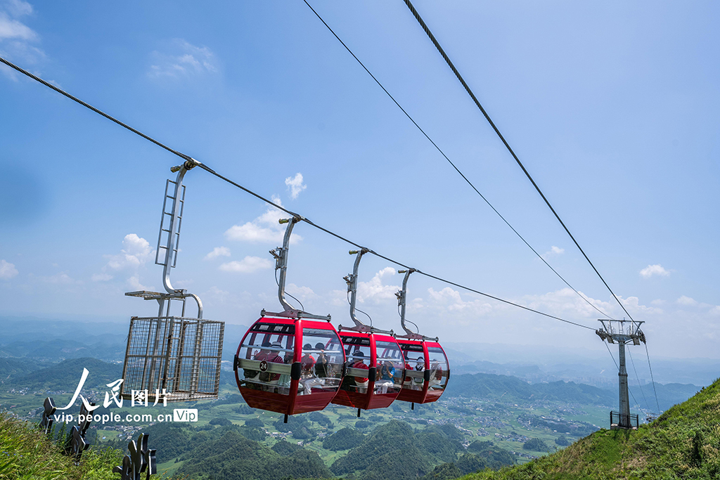 贵州金沙:紫色花海醉游人【3】