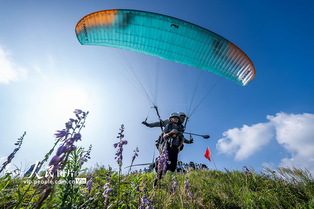 贵州金沙:紫色花海醉游人【2】