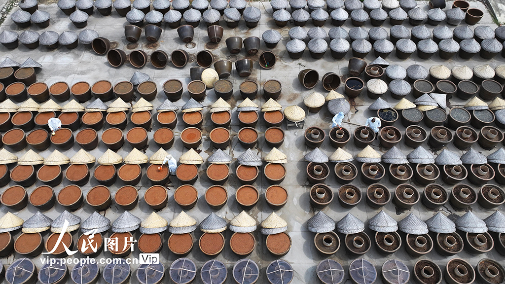 江苏灌云:夏日晒酱【5】